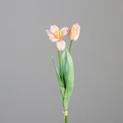 Tulpen pfirisch 49 cm