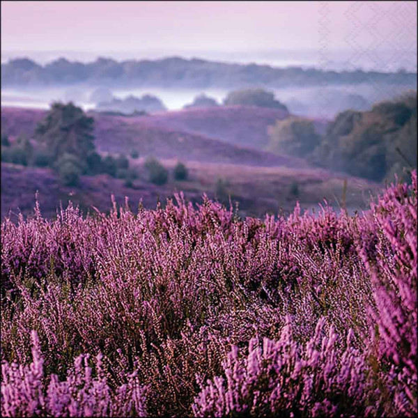 Serviette Heather moorlands FSC Mix
