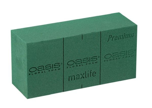 Oasis premium 35 Stück