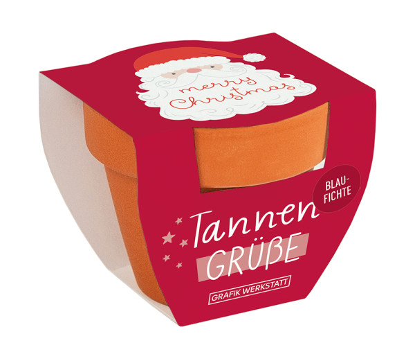 Tannengrüße Weihnachten merry Christmas