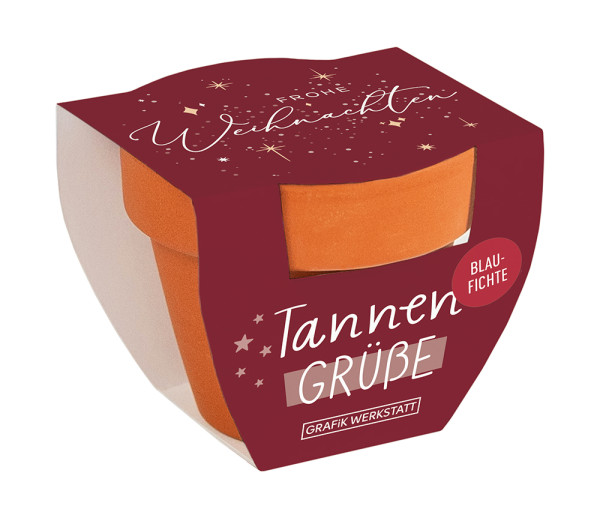Tannengrüße Weihnachten Frohe Weihnachten (Sterne)