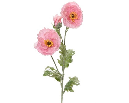 Mohn am Stiel pink 21x9x106cm