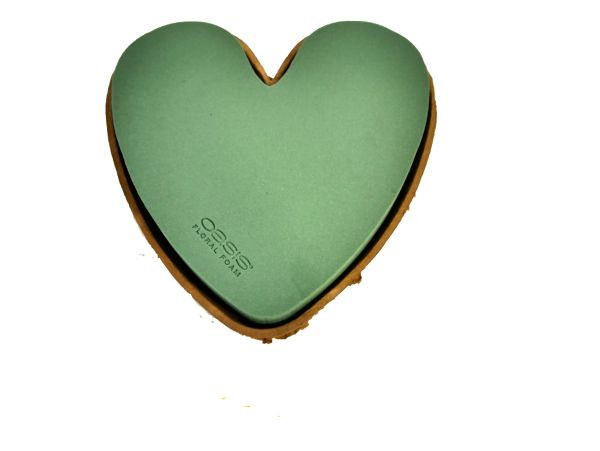 Oasis biolitherz 34cm 2 Stück