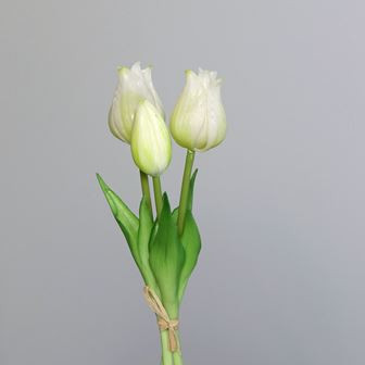 * Bund Tulpen weiß 22cm