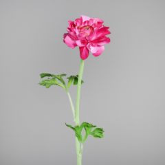 Ranunkel pink 45cm