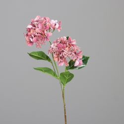 Hortensie mit zwei Blüten fuchsia 47cm