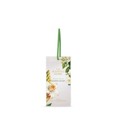 Duftsachet Jasmine & Tuberose