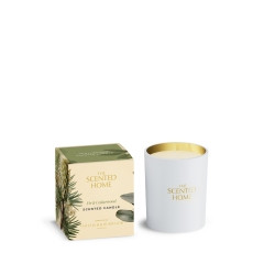 Kerze The Scented Home 170g Fir & Cedarwood