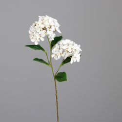 Hortensie mit zwei Blüten creme 47cm