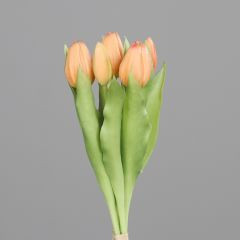 Tulpen Bund lachs 31cm
