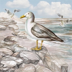 Serviette Seagull on the shore 33x33cm