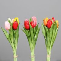 Tulpen Bund rot-combi 31cm