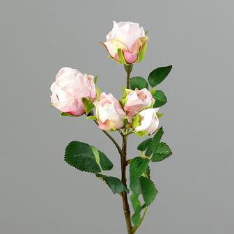 Rosenzweig mini m. 5 Blüten light pink 37cm