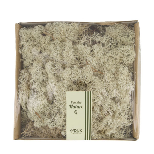 Moos 250g natur 19x19x7cm