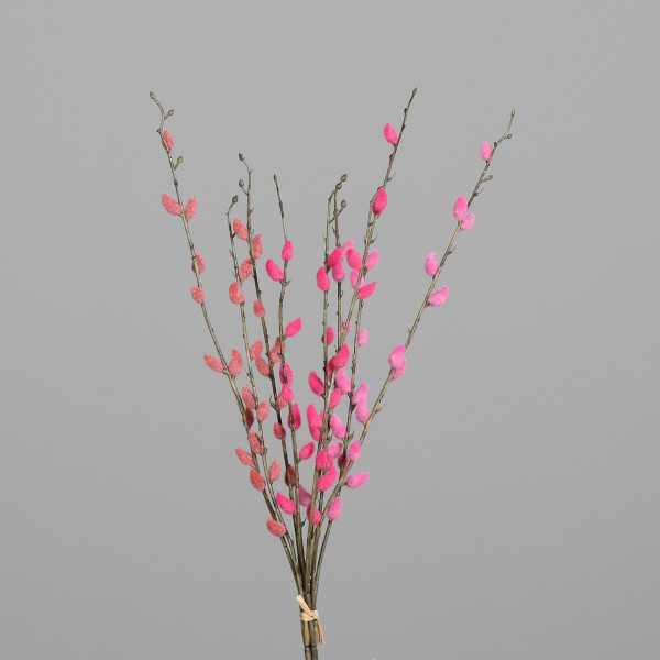 Weidenkätzchen Bund pink 55cm