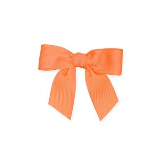 Schleifen apricot 6Stück