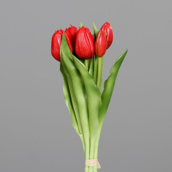 Tulpen Bund rot 31cm