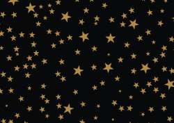 Geschenkpapier 2mx70cm Sterne, schwarz-gold