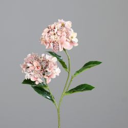 Hortensie mit zwei Blüten rosee 47cm
