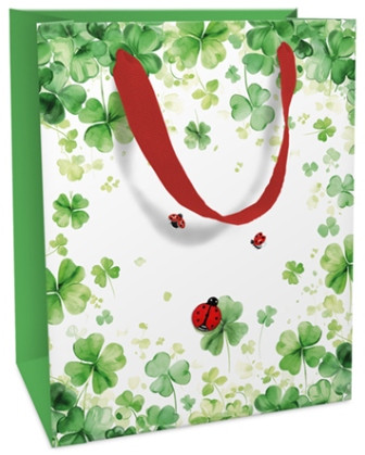 Geschenktasche 12x15x6cm Lucky You