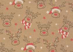 Geschenkpapier 2mx70cm Happy Renny