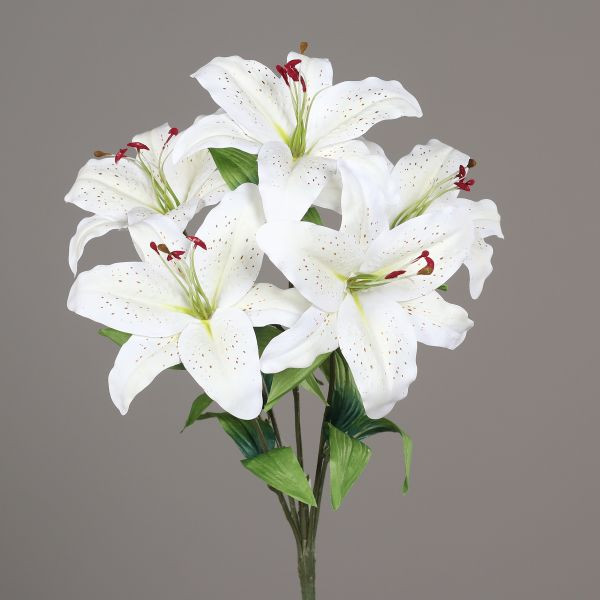 Lilienbusch m. 5 Blüten cream 55cm