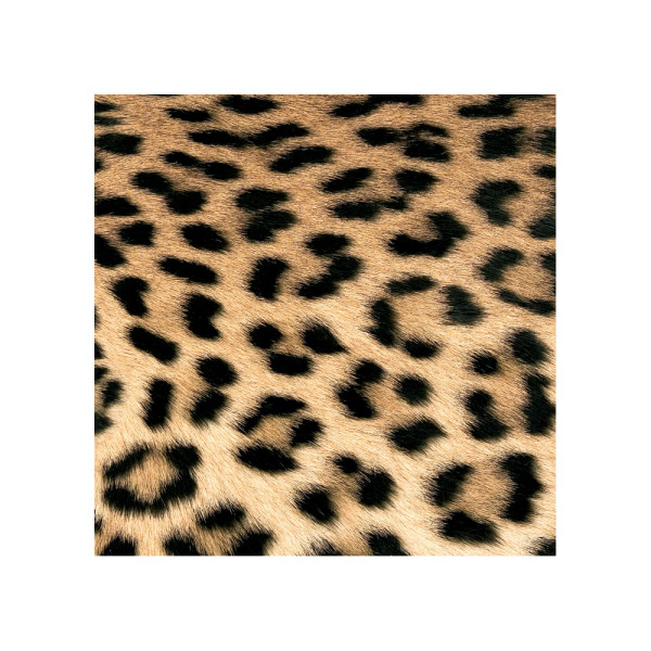 Leopard Couture 33x33 cm