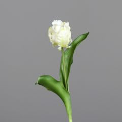 Tulpe PU creme 33cm