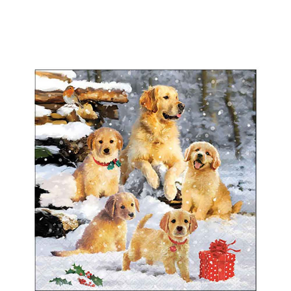 Serviette Golden retriever puppies 25x25cm