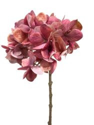 Hortensie rot 45cm