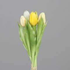 Tulpen Bund creme gelb 31cm