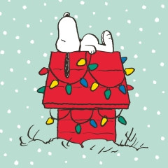 Serviette 33x33cm Snoopy X-mas Home mint