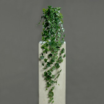 Hänger Efeu 130cm green