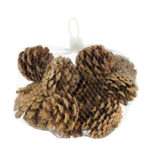 Zapfen Kiefer 200g natur
