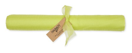 Band Chiffon 28cmx3m frühlingsgrün