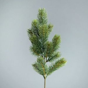 Zweig Edeltanne grün 13cm