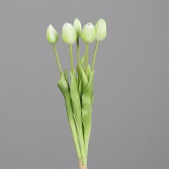 Tulpen Bund creme 44cm