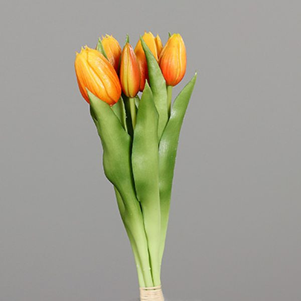 Tulpen Bund orange 31cm