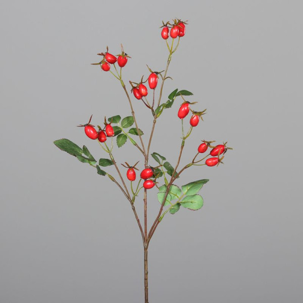 Zweig Hagebutte 66cm