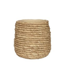 Topf Palma Ø16,6 x h.15,7 cm