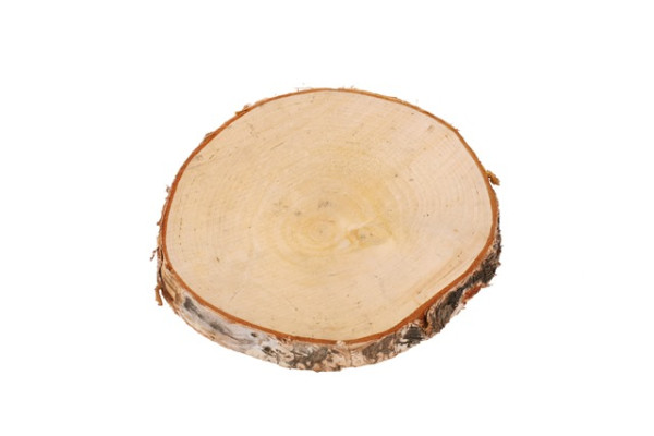 Holzscheibe Birkenholz Ø19-20x2cm