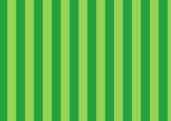 Geschenkpapier 2mx70cm Big Stripe, green
