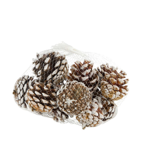 Zapfen Kiefer 200g weiss gewischt