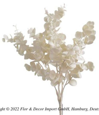 Eucalyptus cremeweiß 40cm