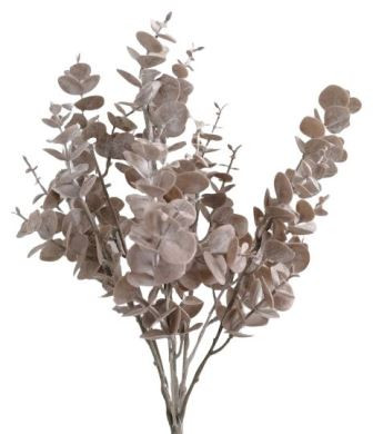 Eucalyptus 40cm hellbraun