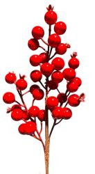 Beerenzweig wasserfest rot 33cm