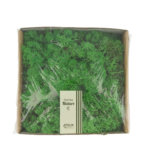 Moos 250g grün
