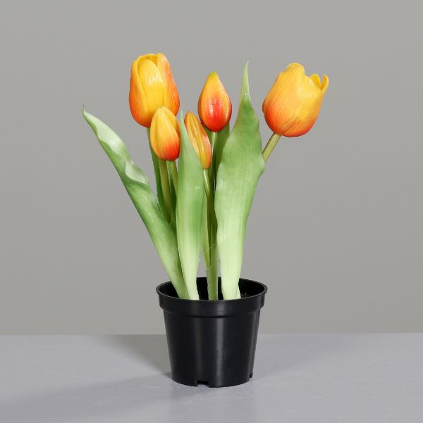 Tulpen im schwarzen Kunststofftopf orange 25cm