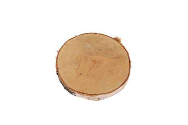 Holzscheibe Birkenholz Ø15-16x2cm