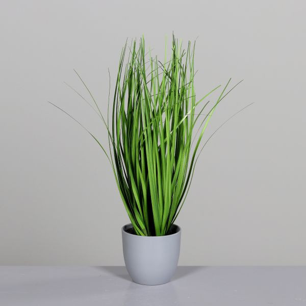 Grasarrangement im grauen Kunststofftopf 38cm